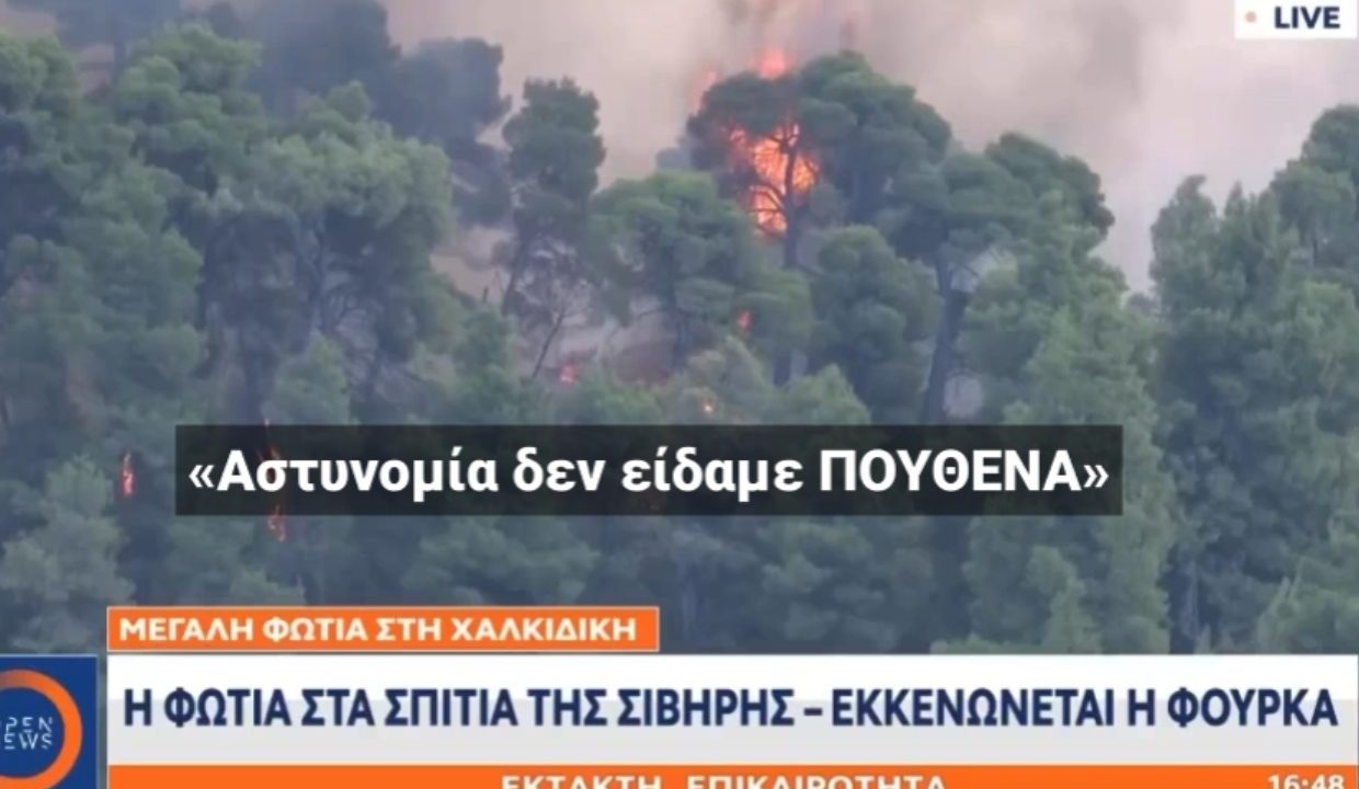 Χαλκιδική: Το 112 λειτούργησε, αλλά όχι ο κρατικός μηχανισμός