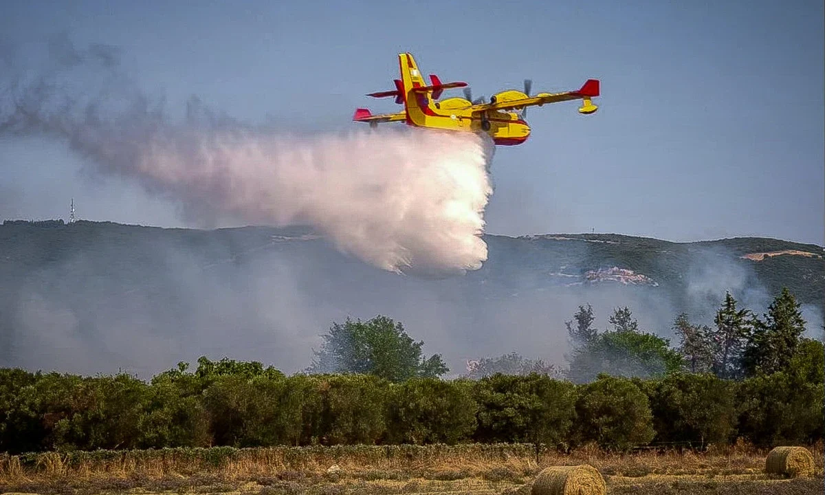 Φωτιά στο Βαθύκοιλο Φθιώτιδας